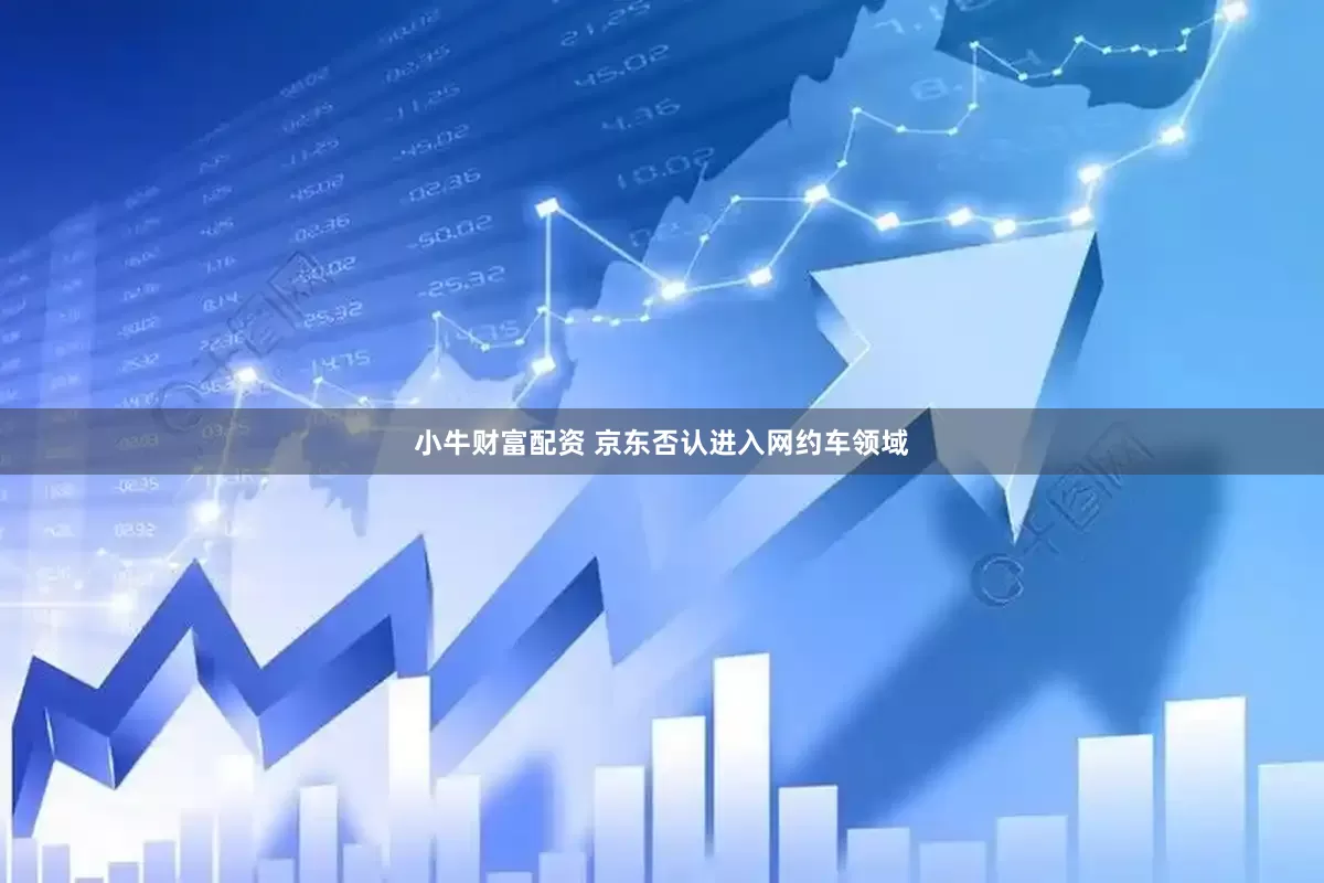 小牛财富配资 京东否认进入网约车领域